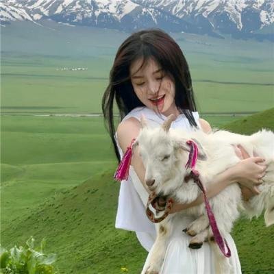 南波万的聚会第二季